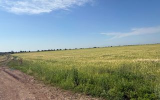 Teren 10 hectare pretabil pt panouri solare-Aricesti Rahtivani - Poză 8