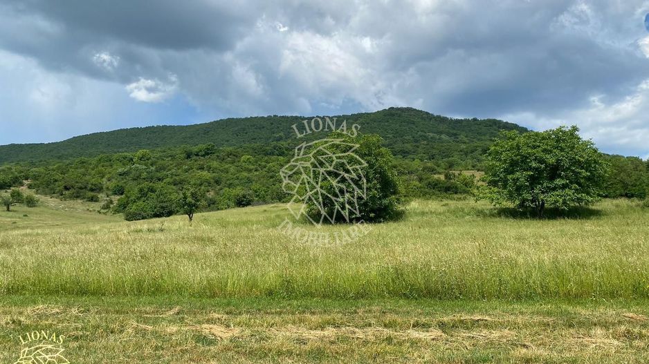 Teren 1000 mp-panoramic-Sieu Magherus la 16 km de Bistrita - Poză 2