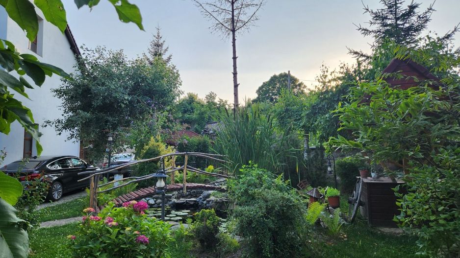 Vila Horezu Romanii de Jos - Poză 53