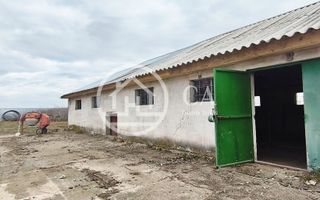 Hala de inchiriat in zona Tarian, Bihor - Poză 3