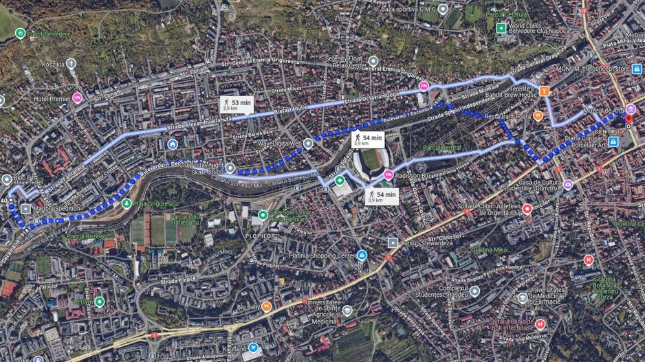 | Apartament cu 3 camere de vanzare | Cartierul Grigorescu | Etaj 2| Decomantat| - Poză 9