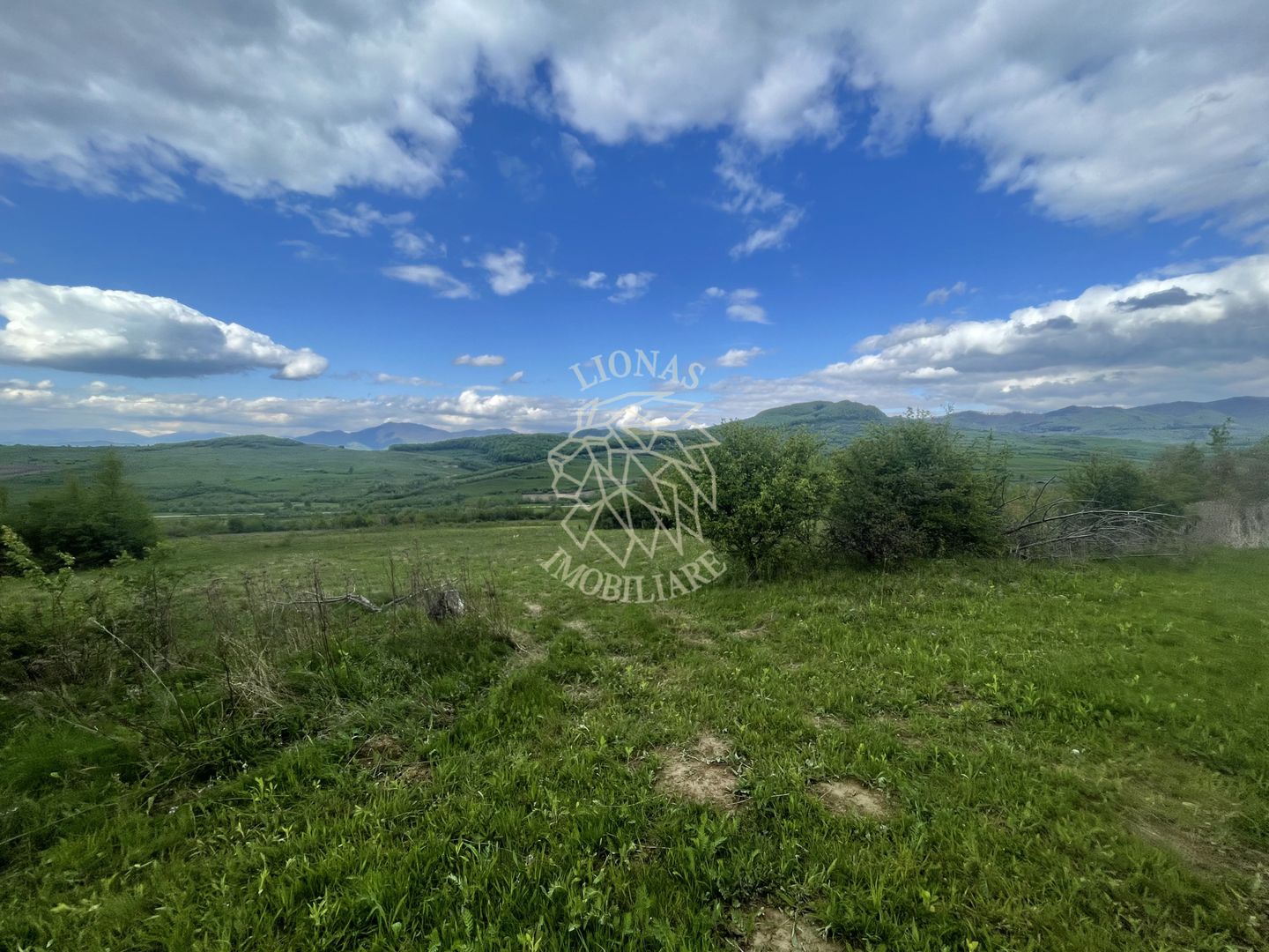 Teren 22700 mp-parcelabil-ideal casa de vacanta-panoramic-Cusma - Poză 3