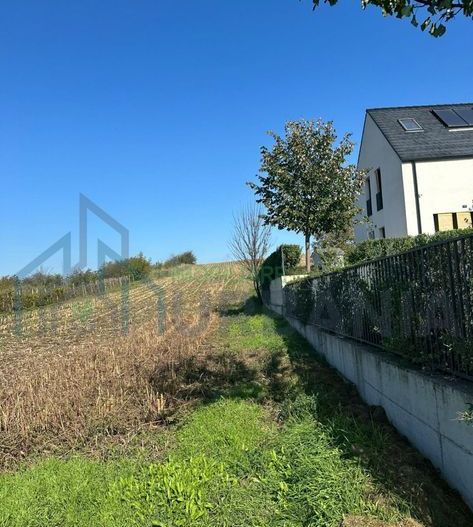 Teren intravilan cu proiect și avize, Lețcani, 1267 mp - Poză 2