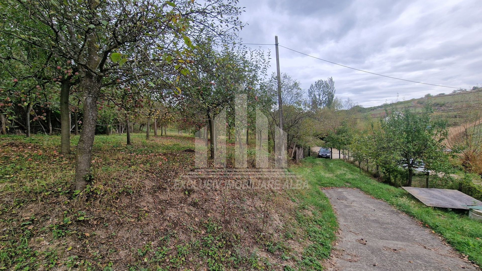 Casa cu livada in Cetea - Poză 10