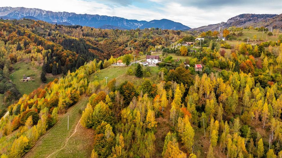 In arena Parcului Natural Piatra Craiului, Magura, Moieciu, Brasov - Poză 4