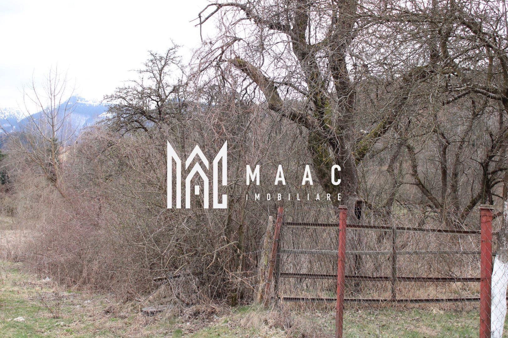 Pământ I Fereastră către Eternitate în  Transilvania - Poză 21