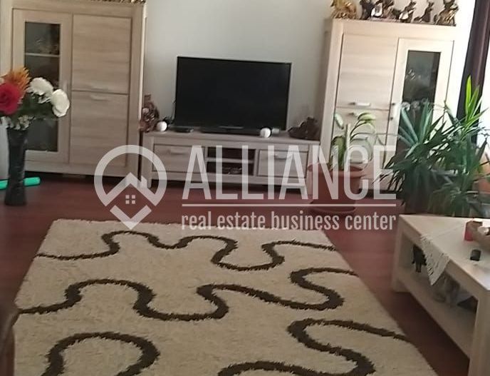 Lumina (cod04)-Vila P+1 mobilata utilata - Poză 8