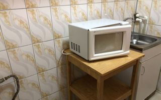 Garsoniera renovata Crinul de Padure Parc Drumul Taberei - Poză 4