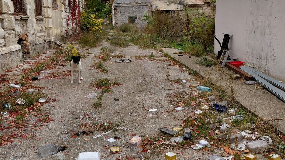 De vânzare – Ansamblu de construcții în Galați, zona Piața Centrală - Poză 7