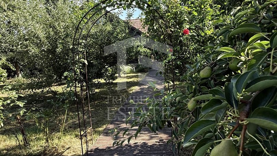 Casa autentixa maramureseana de vanzare in Snagov-Tancabesti - Poză 12