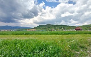 Teren extravilan I 736 mp I Zona Cabane- Cristian - Poză 1
