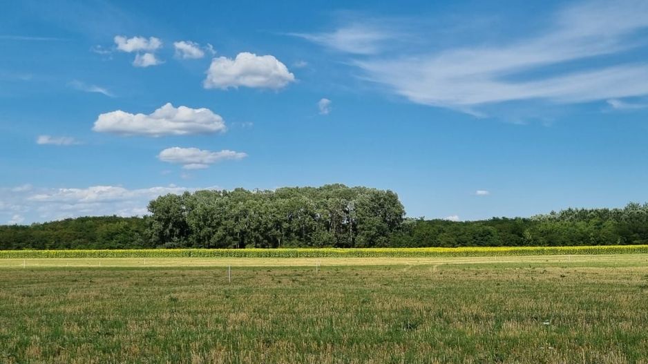 Loturi de teren 638 mp - curent tras la teren - Crevedia - Poză 4