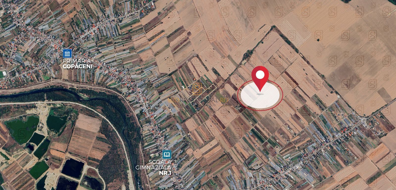 Teren de vânzare – 2.915 mp | Comuna Copăceni, Ilfov - Poză 2