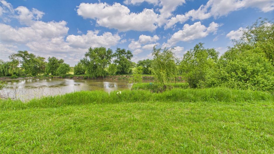 Teren cu baltă- oportunități multiple la Fibiș - Poză 7