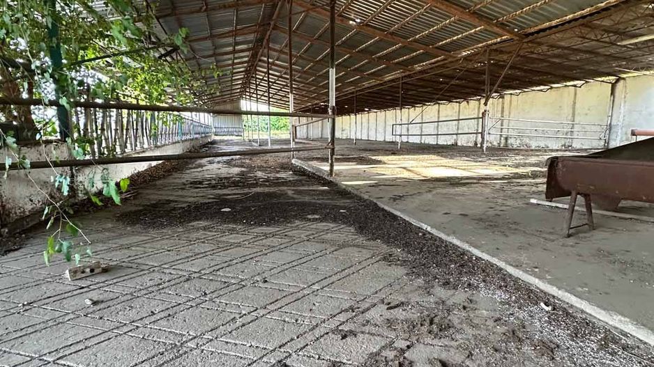 Teren 9.508 mp cu 2 fronturi stradale – Sofronea, Arad - Poză 5