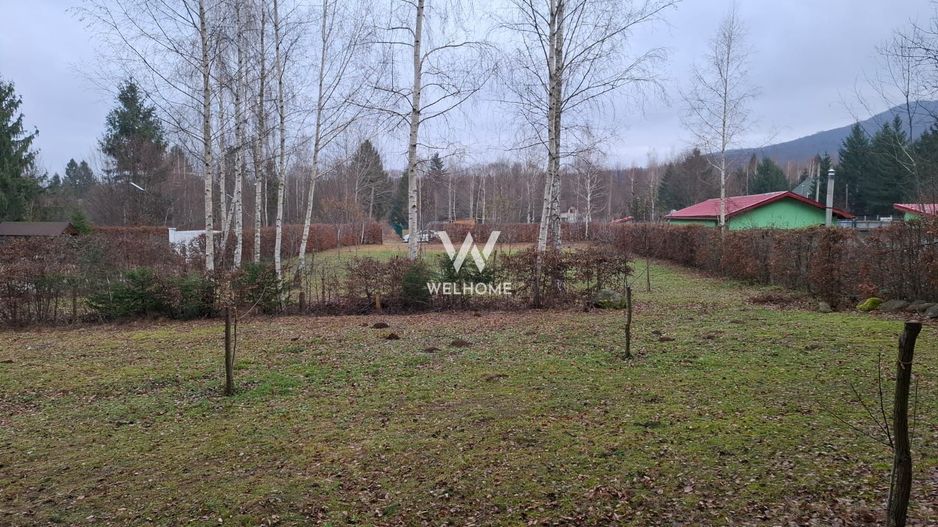 Teren 2000 mp, langa padure,  pe Valea Avrigului - Sibiu - Poză 11