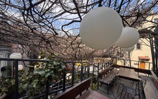 Spatiu comercial - Restaurant | Stradal | Trafic pietonal | Romana - Poză 10