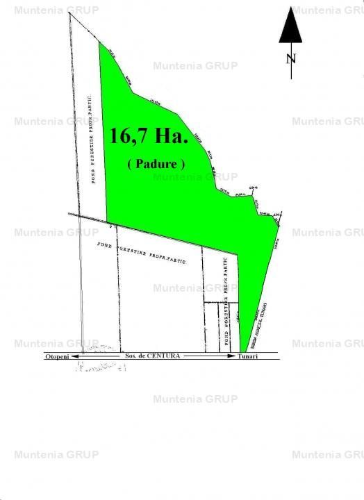 TUNARI - Centura Bucuresti, 16,7 Ha. teren (padure de peste 100 ani) - Poză 6