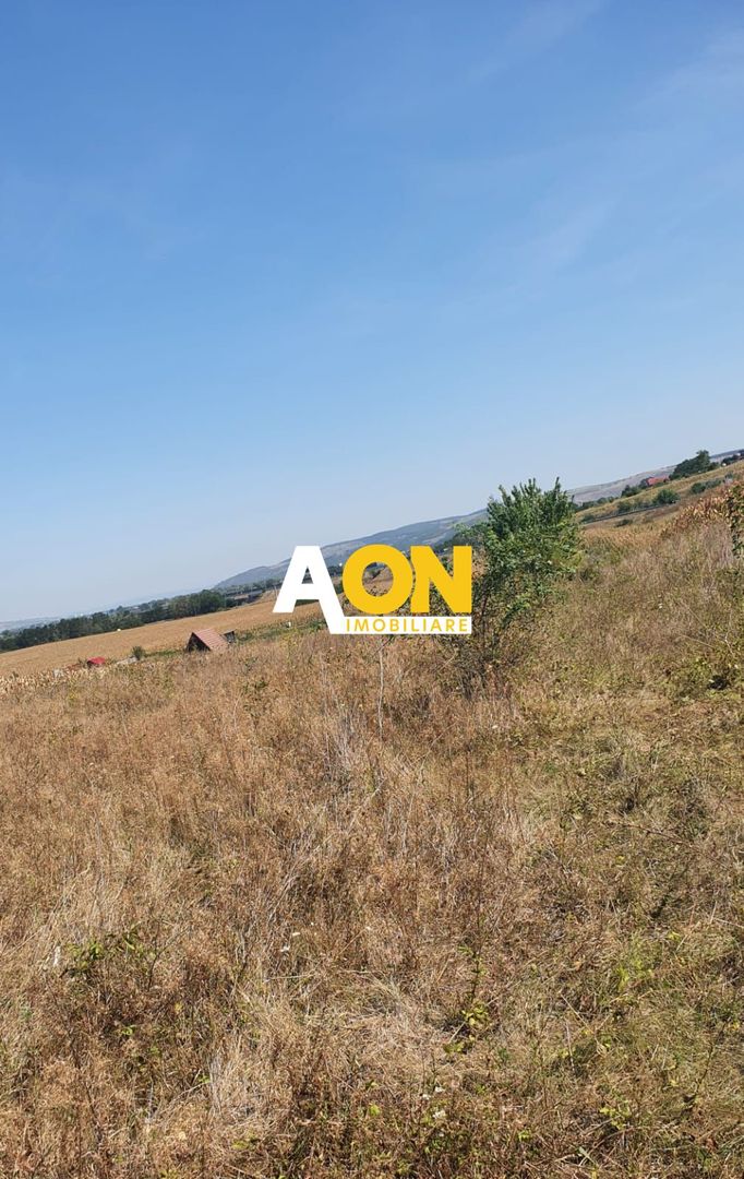 Oportunitate investitie. Oarda de Jos, 16 parcele de 490 mp - Poză 4