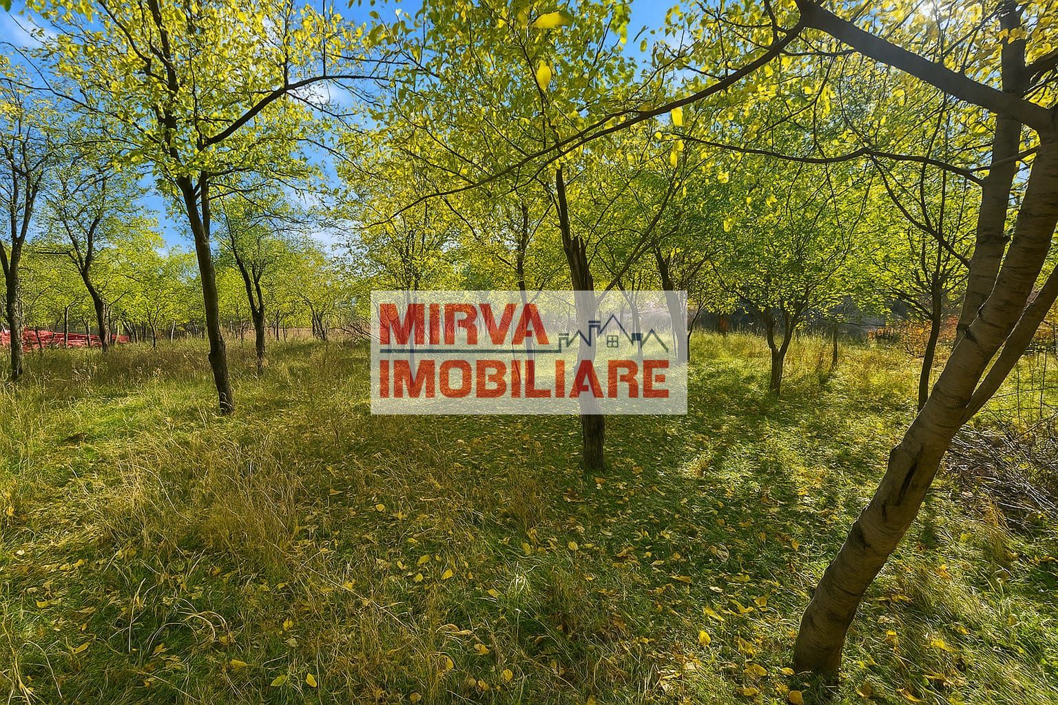 🏡 Casă tradițională într-un peisaj de vis – Vâlcănești - Poză 28