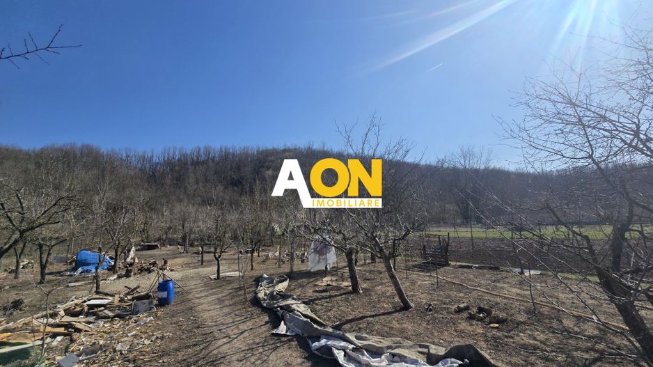 Casa 3 Camere Sat Ciugud, 1500mp Teren - Poză 1