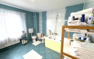CASĂ 5 CAMERE TEREN 1600 MP CAMPULUNG - Poză 41