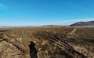 Teren intravilan Sanpetru vis a vis de Caminul Maria,utilitati. - Poză 3