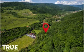 Teren intravilan 2.800 m² în Câmpu Cetății – liniște și natură - Poză 18
