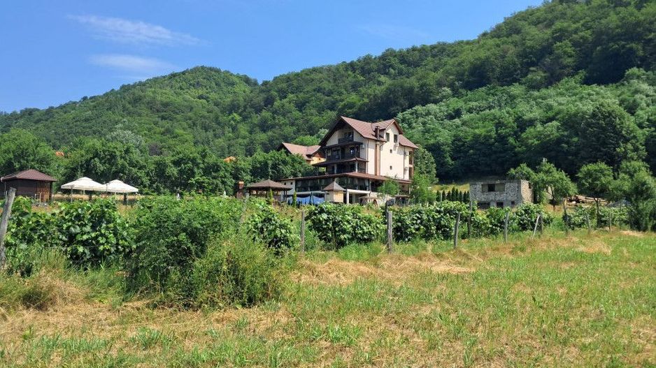 TEREN INTRAVILAN POLOVRAGI - Poză 7