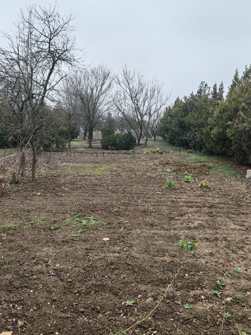 Teren 2.600 mp, utilități, Str. Merișor – Giurgiu - Poză 4