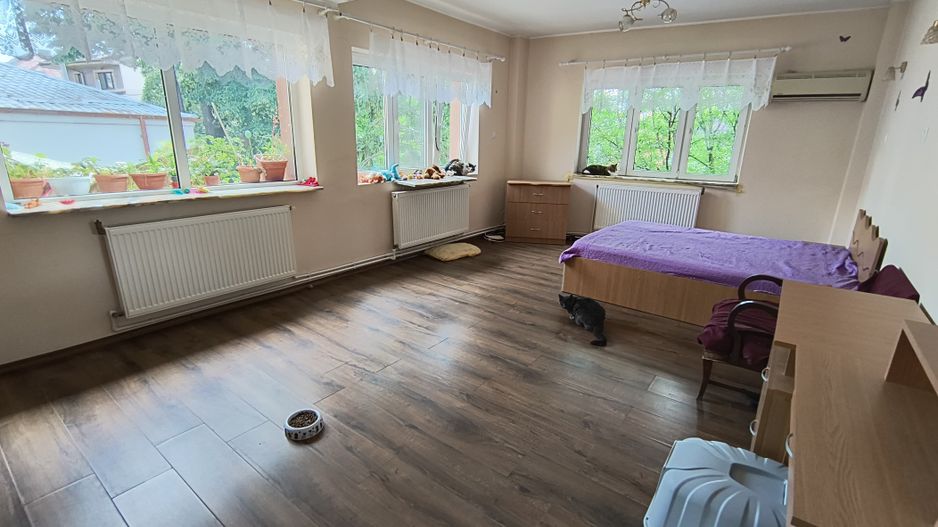 Calea Grivitei- Podul Grand - Poză 10