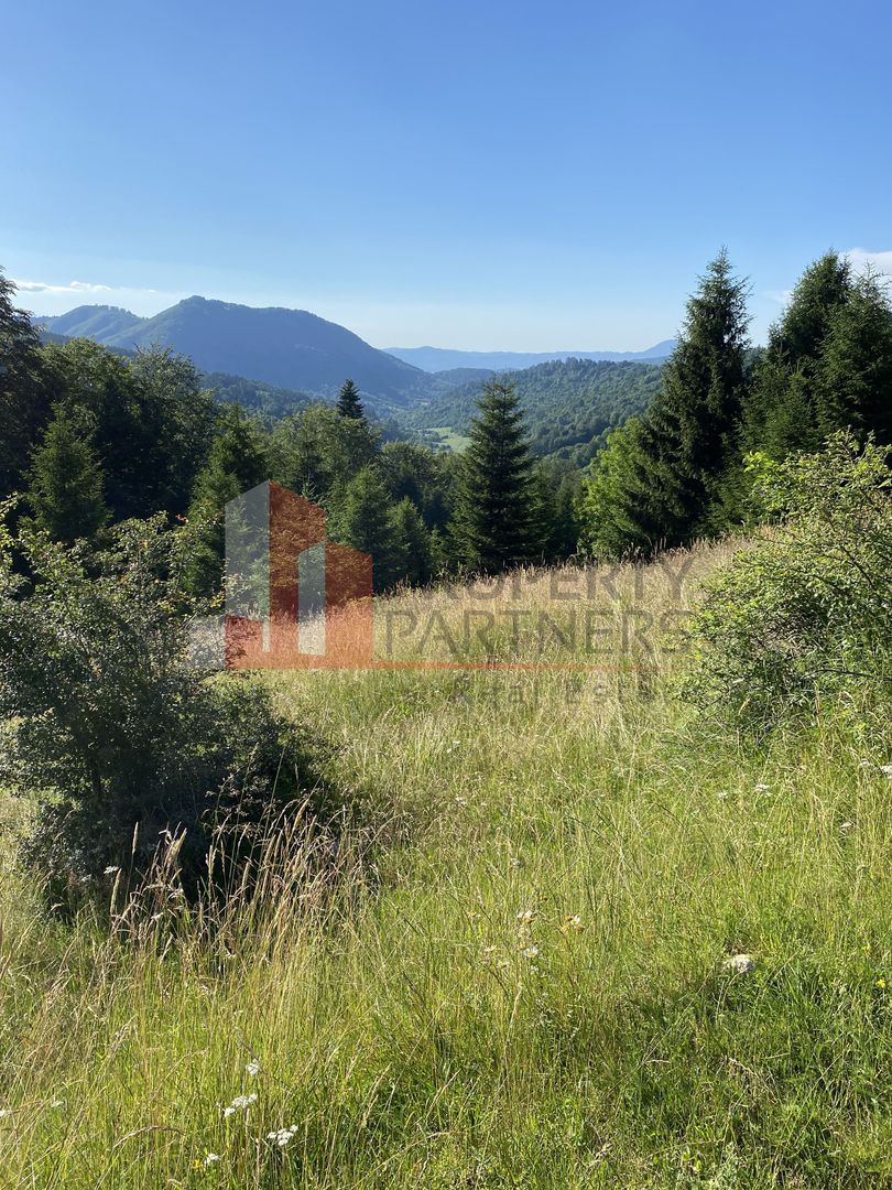 Teren 14400 mp la iesire din Rasnov inspre Pârâul Rece-Trei Brazi - Poză 2
