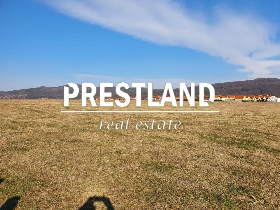 Teren extravilan-5.000 mp-Sura Mică. - Poză 1