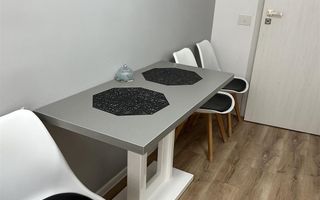 Apartament 2 camere Nicolae Bolcas bloc nou - Poză 7