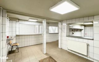 Spatiu pentru activitati comerciale I Laborator - Spatiu productie - Poză 14