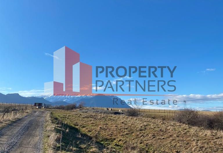 Teren Sohodol 10.000 mp - Poză 5