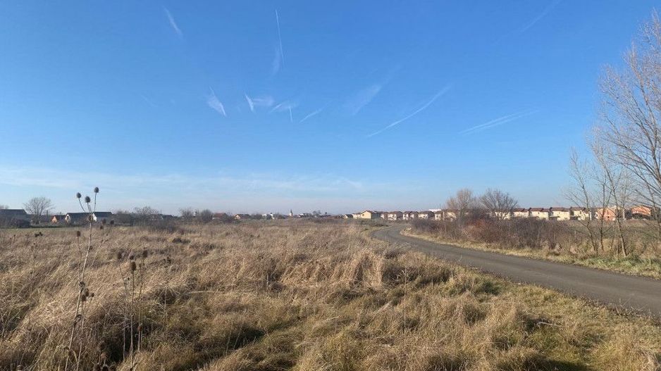 Teren pentru duplex in Sacalaz - 600 mp, in Spatele Cartierului Primaverii - Poză 4