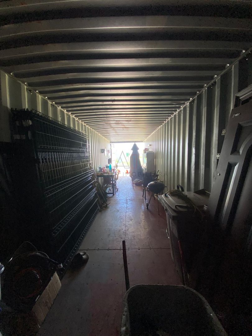 Teren intravilan 2.500 mp – Adunații Copăceni | Container inclus + puț - Poză 4