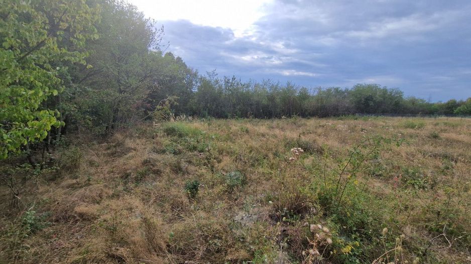 Vanzare teren intravilan, Smeura - Poză 3
