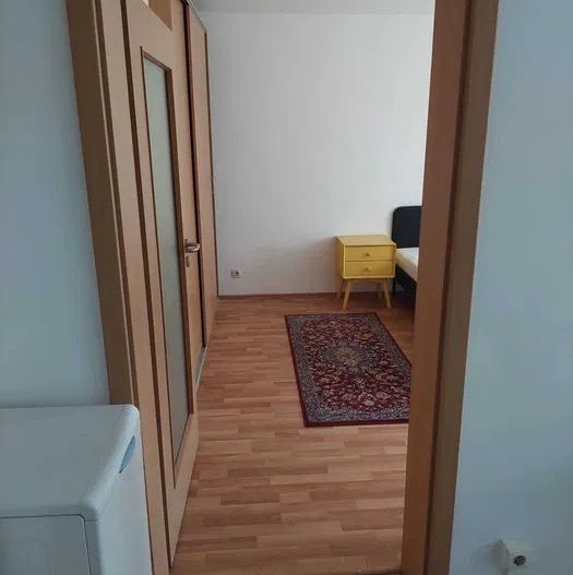 Garsoniera atragatoare, Calea Mosilor - Poză 3