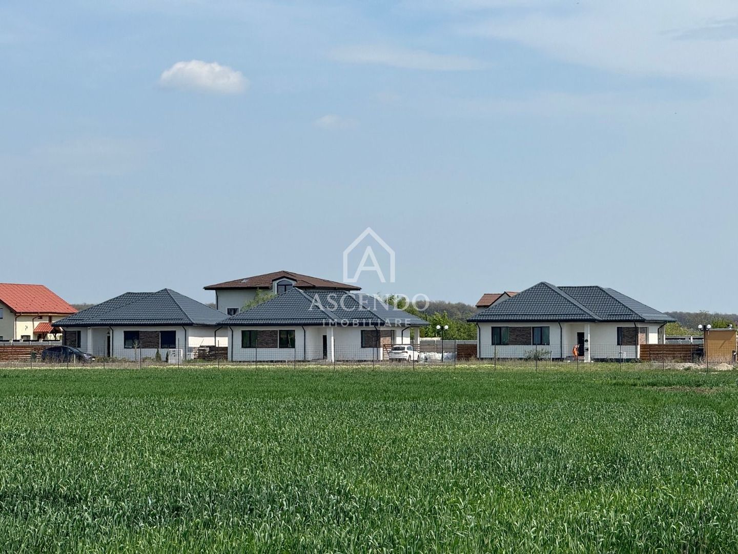 Vanzare teren 7.000 mp – Buftea, zona Tămași | lângă pădure - Poză 7