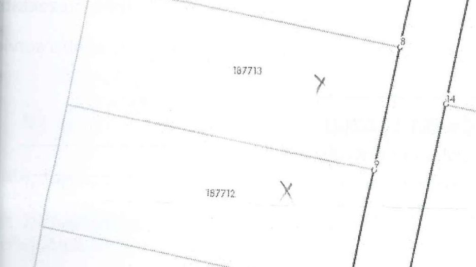 Teren 1000 mp | Zona Balta Blonda - Poză 5