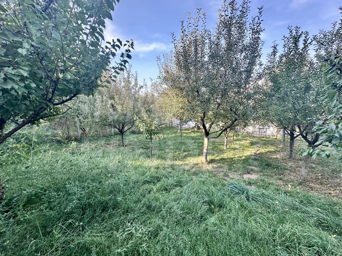 Casă specială de vânzare în Gheorgheni cu 600 mp teren - Poză 22