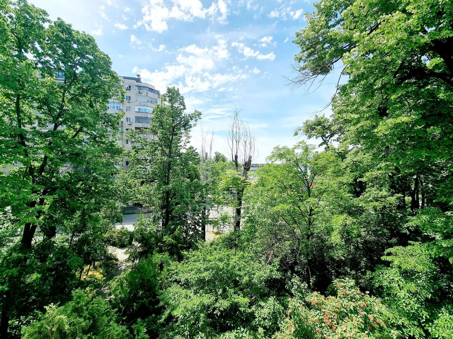 Apartament 2 camere Hanul Drumetului Bd 1 Mai Drumul Taberei - Poză 15