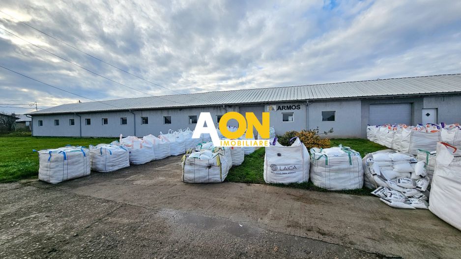 HALĂ Industrială/Producție 573mp, Teren 2793mp, DJ 107F, Comision 0 - Poză 3