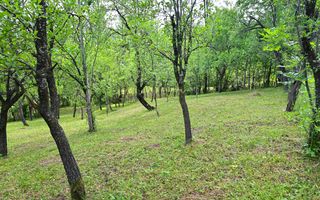 Casa 4 camere de vanzare | Zona linistita | Talea Prahova | Comision0% - Poză 17