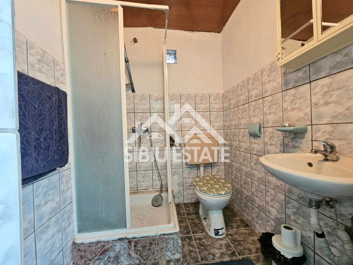 Casa Sibiu la Nucet teren 2317mp - Poză 9