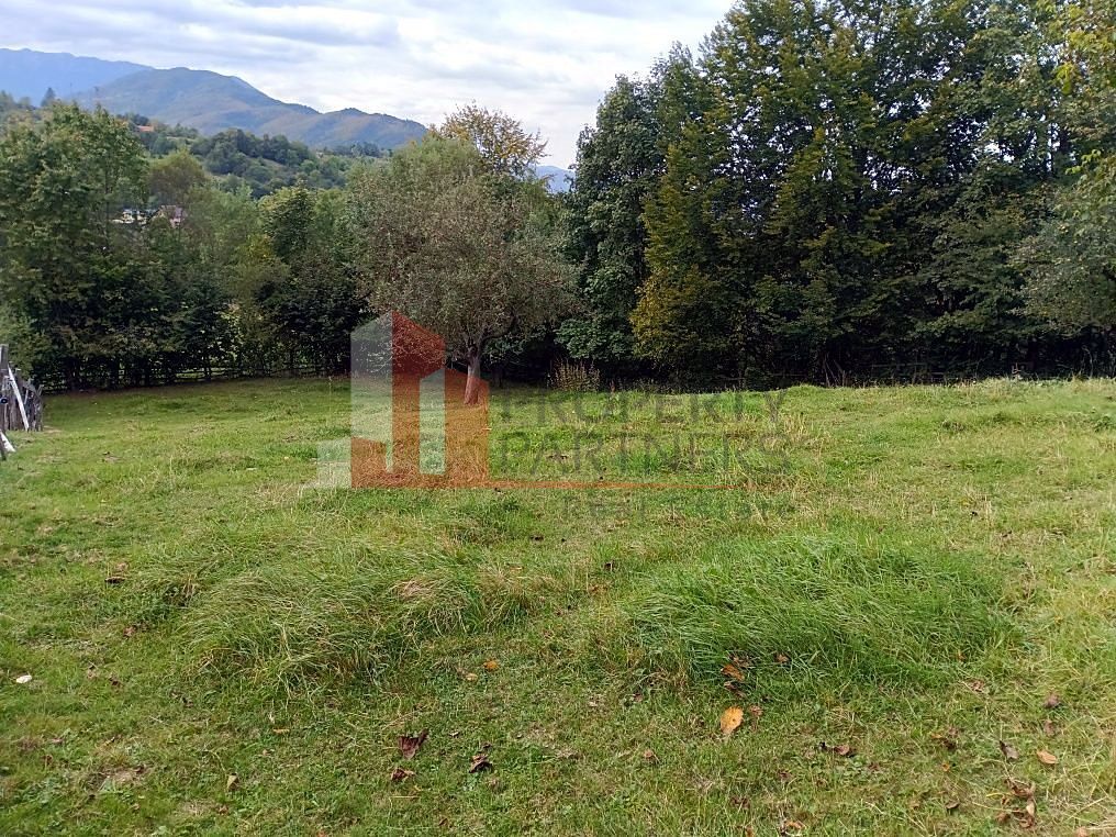 Teren intravilan 1.300 mp | Vedere Piatra Craiului | Bran Poarta - Poză 7