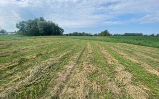 Teren Extravilan | 23 Ari | Satu Mare - Poză 3