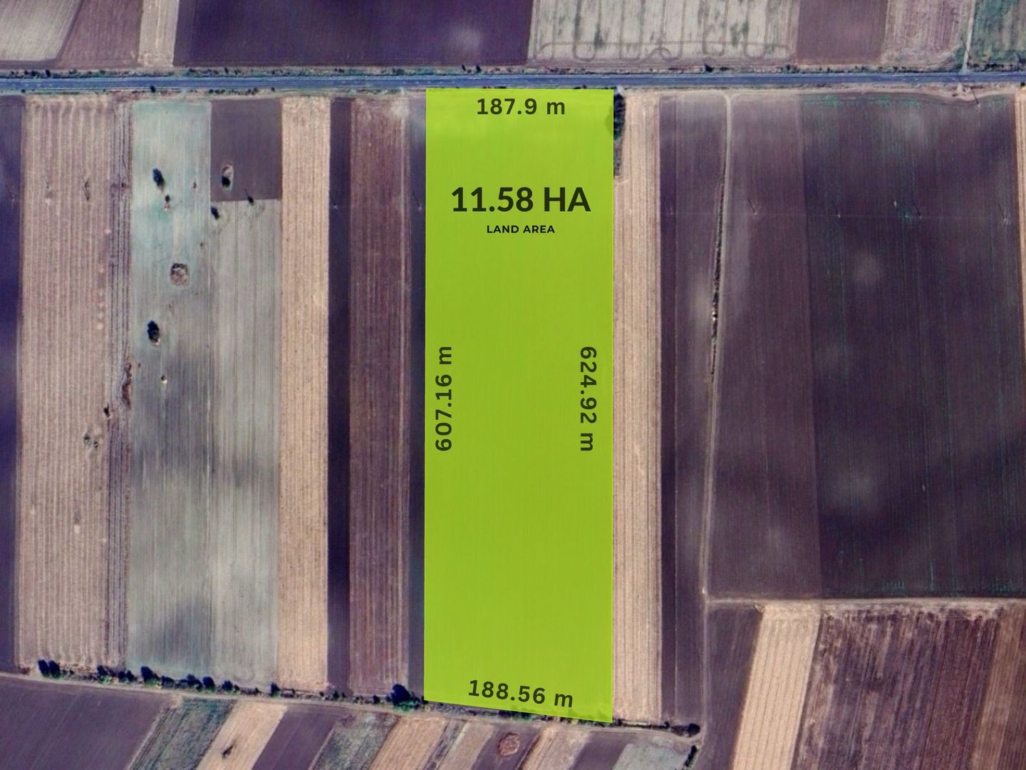 Teren folosinta conditii speciale | Oportunitate investitie | Nadlac - Poză 4